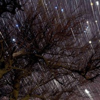 Аватар: Демьян Чернявский