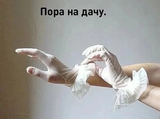 https://sun1-54.userapi.com/impg/jTmrVuKb7x5UW3yCgEfoTiGsOJCOiHFml0YlyA/JEzVmGUgPl4.jpg?size=520x386&quality=95&sign=1e65e14cfb5a0e566e05e5e8a0ce87d3&c_uniq_tag=nJCGvHvezhLrdmw2KNdjPK04yygazPQXvLBlI4rhNm0&type=album