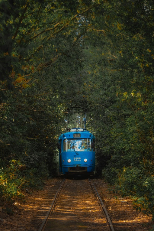 whaletroll | Саратов